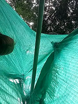 single kitten online show from March 23, 7:47 pm