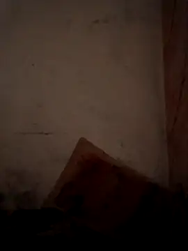 CoralN online show from April 1, 3:52 am