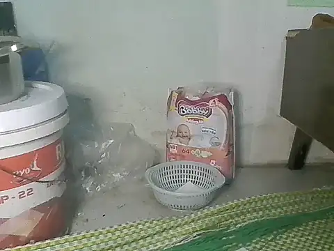 Fish sexy online show from March 28, 9:10 am