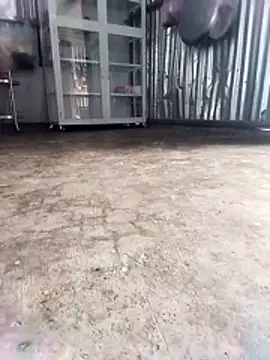 Malisa-aa online show from March 11, 12:04 am