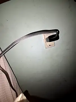 wolf297 online show from February 28, 11:43 am