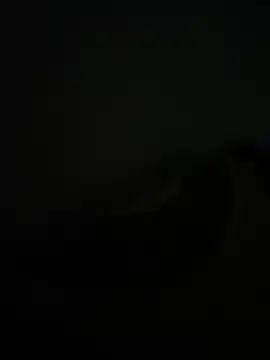 noorqwertz online show from May 8, 4:55 pm