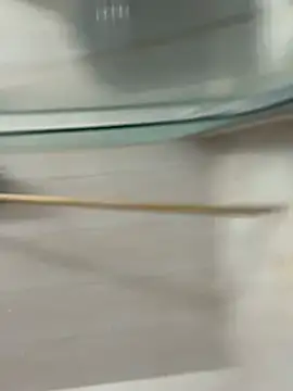 David-latinlover online show from March 29, 10:44 pm