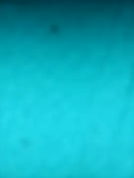 scarlett leex  online show from April 12, 8:28 am