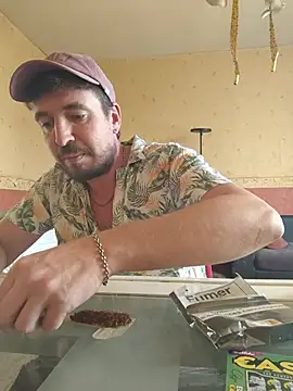FlippantInsert online show from August 2, 12:36 pm