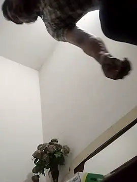 Rocky boy4 online show from March 18, 6:20 pm