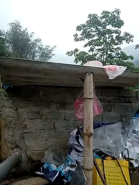 dualeo11 online show from March 27, 1:47 am