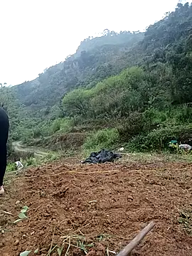 dualeo11 online show from March 12, 6:17 am