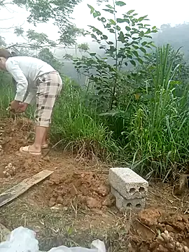 dualeo11 online show from March 29, 2:46 am