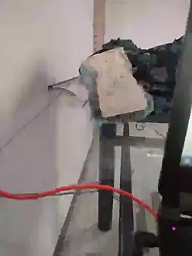 Tamillaxmi12 online show from March 21, 11:03 am