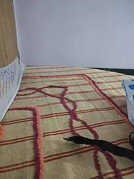 Tamillaxmi12 online show from March 6, 12:55 pm