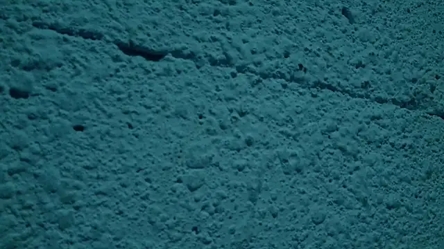 LYNN N SAMUEL online show from April 13, 11:09 pm