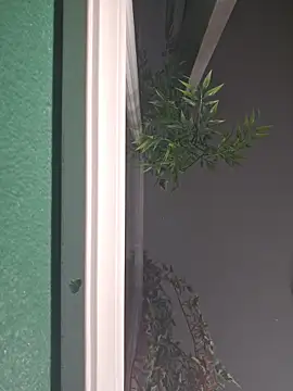 CarmenCapricorn online show from March 3, 7:48 am