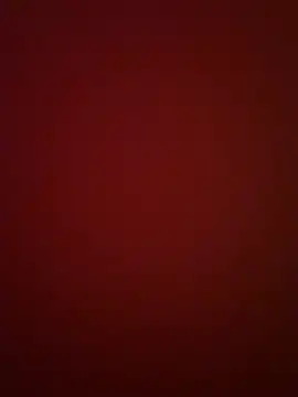 BeeMay22 online show from March 29, 8:10 pm