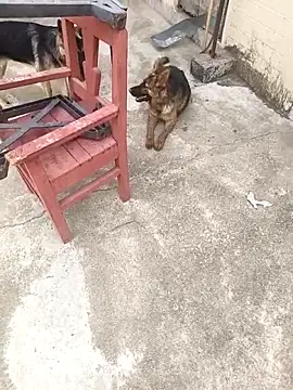 Snapshot of mylove202022 chatting on March 15, 2:07 am mylove202022 online show from March 15, 2:07 am