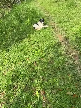 Zoe Luxxe  online show from March 23, 8:30 pm