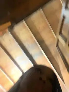 LiaTrainor online show from March 20, 1:50 am