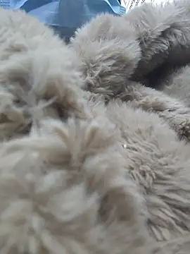 Naomimolie online show from April 15, 11:27 am