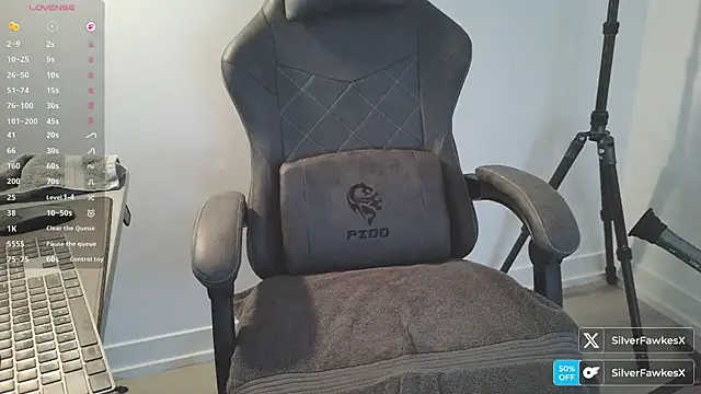 silverfawkesx online show from March 24, 10:32 pm