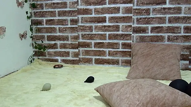 Katia Cutte online show from March 15, 9:44 pm