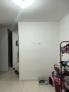 Nicole Cute04 online show from July 14, 3:55 am