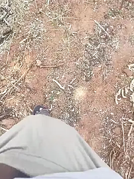 ActiveDick Telugu online show from March 20, 6:14 am