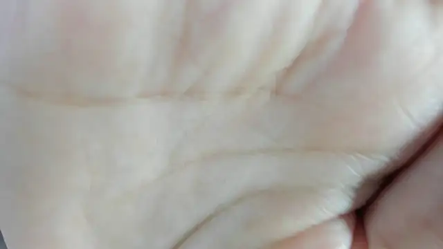 Angell cherryht online show from March 28, 8:43 pm