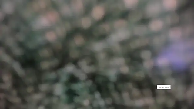 IVONE ASHAR online show from March 14, 3:18 pm