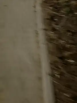 Snapshot of MarekPublicShow chatting on March 3, 9:44 pm MarekPublicShow online show from March 3, 9:44 pm