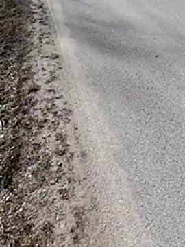 Polishboyek online show from March 10, 12:53 pm