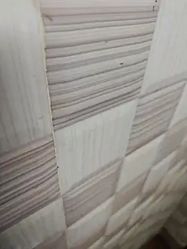 sanju470 online show from March 21, 4:03 am