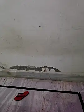 Itz ishu online show from April 4, 11:39 am