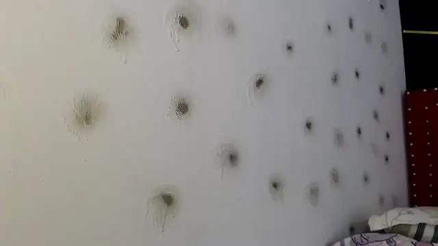 danielawidx online show from April 15, 1:48 pm