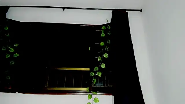 laaura dolll online show from April 9, 6:30 am