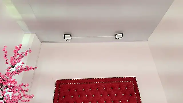 Daphne glas online show from April 1, 1:41 pm