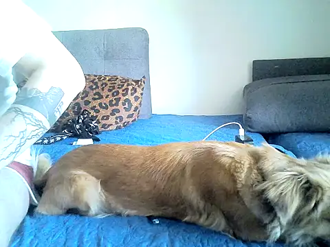 SirNefastus online show from April 13, 5:11 am