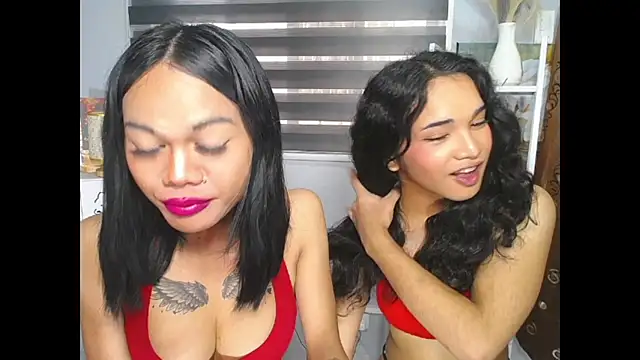 MaterialDuoTransxxx online show from June 5, 5:12 am