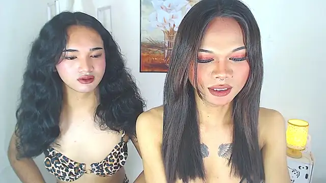 MaterialDuoTransxxx online show from March 9, 5:22 am