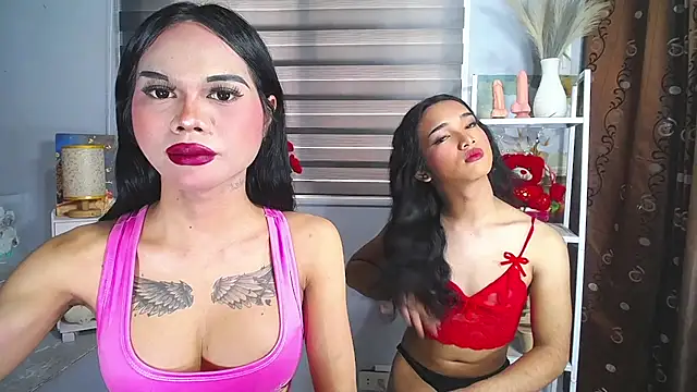 MaterialDuoTransxxx online show from May 31, 4:18 am