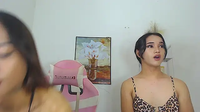 MaterialDuoTransxxx online show from March 26, 10:02 am