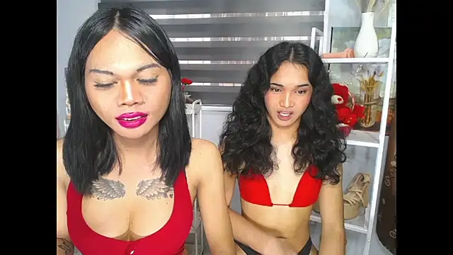 MaterialDuoTransxxx online show from June 5, 6:52 am