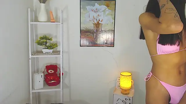 MaterialDuoTransxxx online show from March 10, 6:50 am