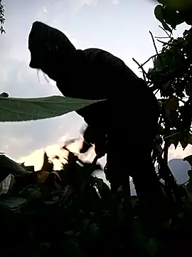 Bling-pusy online show from April 8, 11:33 am