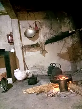 Bling-pusy online show from April 2, 9:54 pm