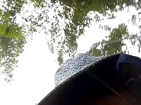 Yellow-pink online show from March 13, 2:16 am