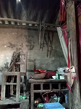 Yellow-pink online show from March 24, 4:34 am