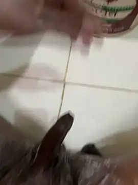 Chotiluli4 online show from March 9, 7:01 am