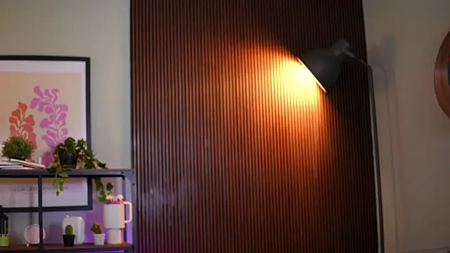 Lena Laurent online show from March 24, 10:15 am