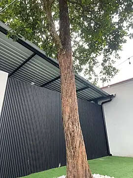 Bella-Ferrer online show from March 14, 6:25 pm