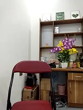 Mai phuong online show from April 13, 12:47 am